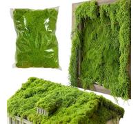 Faux Moss - 300g Realistic Greenery For Indoor Plants & Succulents | Artificial Moss Filler For Planter, Vase, Terrarium & Aquarium | 9.65x12.20 Inch Decorative Mosss Ideal For Home Wall, Christmas, W