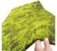 Faux Mur De Mousse Mousse, 1x1m Bricolage Herbe Loi Ladscape Garde Simulatio Plats Home Ladscapig Wall Decor, Ta, 1x1m