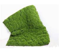Faux Mur De Mousse Mousse, 1x1m Bricolage Herbe Loi Ladscape Garde Simulatio Plats Home Ladscapig Wall Decor, Z, 1x1m