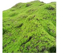 Faux Mur De Mousse Mousse, 1x1m Bricolage Herbe Loi Ladscape Garde Simulatio Plats Home Ladscapig Wall Decor, L, 1x1m