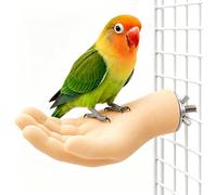 Faux perchoir à main pour cage à oiseaux - Support de montage pour entraînement intensif - Perchoir à perroquet en forme de main pour cage à oiseaux - Support d'entraînement avec support à vis