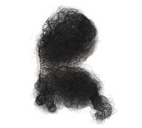 Faux Poils Pubiens, Faux Cheveux Privés Simulés Respirants Fourchus pour Poupée à la Maison (Long)