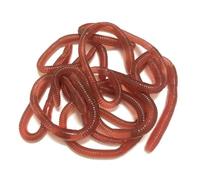 Faux Pour La Pêche - 10 Faux Lombriques | Supports Élastiques Flexibles | Jeux De Bâillonnement Réalistes Pour Les Blagues Pratiques | Divertissement Réutilisable Pour Les Collègues D'amis De