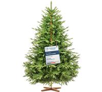 Faux Sapin De Noël FairyTrees ALPENTANNE Premium Avec Décoration