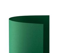 Favini a33d0 a1 Prism Carte 220, 70 x 100 cm, Pack de 10, Vert