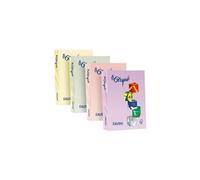 FAVINI HOME-OFFICE BASIC Le Cirque - Rose - A4 (210 x 297 mm) - 80 g/m² - 500 feuille(s) papier uni G