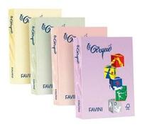 FAVINI HOME-OFFICE BASIC Le Cirque - Rose - A4 (210 x 297 mm) - 80 g/m² - 500 feuille(s) papier uni G