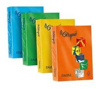 FAVINI HOME-OFFICE BASIC Le Cirque - Vert prairie - A4 (210 x 297 mm) - 80 g/m² - 500 feuille(s) papier uni