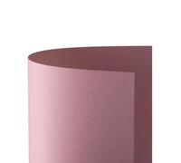 Favini Prisma 220 A33S0A1 Carton 70 x 100 cm Lot de 10 Rose