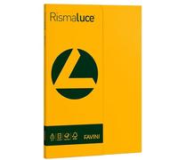Favini Rismaluce Small A4 100 feuilles 90 g/m² Couleur Jaune Or 52