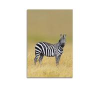 FAVIRXPYU Impression sur toile représentant un zèbre et une prairie animalière - Décoration murale moderne pour chambre à coucher - 60 x 90 cm