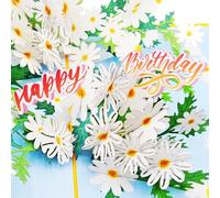 Favour Pop Up - Une belle carte 3D avec des marguerites et un joyeux anniversaire intégré élégant, également pour un cadeau en argent ou un bon d'achat. XPH913