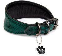 FAVPET Collier en Cuir Souple pour Lévrier avec Étiquette ID QR et Nouveaux D-Anneaux en Métal épaissi pour Whippet Lévrier Italien Saluki Borzoi Galgo Espagnol, Large Collier pour Chien (Vert, XS)