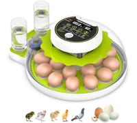 Favritt Incubateur à œufs pour éclosion d'œufs, incubateur numérique avec contrôle de la température, remplissage de l'eau, incubateur tournant automatique