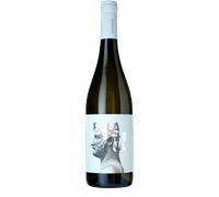 Favugnë Falanghina Bianco 2024 - Cantine Teanum