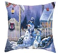 Faxiang Housse de coussin décorative de Noël pour voiture, canapé, décoration de Noël, Nouvel An, 45 x 45 cm