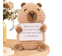 fayarrd Animaux Positifs - Capybara Tricoté - Décoration Mignonne Motivante avec Carte pour Bureau Domicile Travail - Décoration Bureau Maison Noël Anniversaire Fête