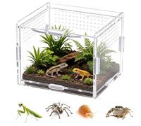 fayarrd d'élevage religieuse en acrylique anti-fuite, maison d'araignée sauteuse et terrarium pour reptiles, gardiens religieux, serpents, observations