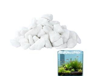 fayarrd Éponge filtrante pour Aquarium,Moyenne pour affinement de l'eau,Éponge filtrante | pour Habitat Aquatique avec, étang d'eau, crevettes, Environnement, Jardin et Tortues