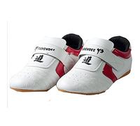 fayengan Chaussures De Taekwondo Arts Martiaux Sneaker Chaussures De Sport Légères for La Boxe Karaté Kung Fu Tai Chi Entraînement (Color : White, Size : 36 EU)