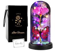 FAYODO Rose Galaxie Lumineuse La Belle et la Bête avec Papillon dans Un dôme en Verre, Cadeau d'anniversaire Unique pour Petite Amie (Rose)