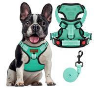 FAYOGOO Ensemble Harnais et Laisse pour Chien Anti-Fuite Anti-Traction avec Maille Réfléchissante pour Chiens de Taille Petite et Moyenne, pour Chiots, Contrôle et Sécurité lors de la Promenade