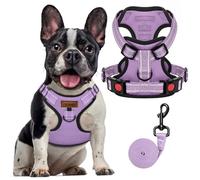FAYOGOO Ensemble harnais et laisse pour chien avec clip avant réglable réfléchissant pour chiens de petite, moyenne et grande taille