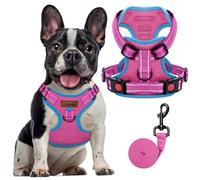 FAYOGOO Ensemble harnais et laisse pour chiens de petite et moyenne taille, anti-traction avec gilet réfléchissant en maille respirante pour le dressage et la marche sécurisée