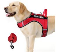 FAYOGOO Gilet pour chien de service pour chiens de grande taille, gilet en maille respirante pour soutien émotionnel avec patchs amovibles à faire soi-même, ensemble harnais et laisse réglables pour