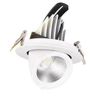 FAZRPIP LED Spots Encastrés Plafond 10W / 20W / 30W / 40W COB Eyeball Retrofit Projecteur Inclinaison Réglable Twist Plafond Blanc Spot Downlight pour Cuisine Chambre