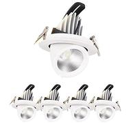 FAZRPIP Lot de 5 ou 10 Spots encastrables LED 10W,Globe oculaire rénovation projecteur Plafond réglable Angle Blanc Plafond Spot Downlight pour Cuisine Chambre Salle de Bain évier downlights