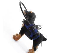 Fazvncv Collier d'assistance à installation rapide pour chiens sans vue Taille M Évite les accidents en plein air Confiance réglable Protection
