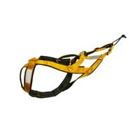 Fazvncv Harnais de traîneau pour chiens de grande taille, ceinture réfléchissante pour chiens de grande taille