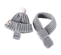 Fazvncv Lot de 2 écharpes et chapeaux tricotés pour chiots, chiens, chats, automne et hiver