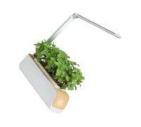Fazvncv Systèmes de jardinage hydroponique d'intérieur intelligents avec lumière LED réglable pour légumes, sol et plantes aquatiques