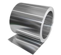 FBANULPEX Tôle d'acier Rouleau Mince de Bandes de métal Chutes de Plan de Travail en Acier Inoxydable, feuillard, tôle d'acier, Plaque Mince en Acier Inoxydable SS304, Feuille(0.02mmx100mmx1meter)