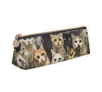 FBGHHTY Trousse à crayons pour étudiant - Grande capacité - Motif chat - Pochette triangulaire - Pour tous les jours - Pour
