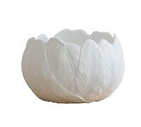 FBHFSUIEF Pots de Fleurs Blancs en céramique avec Plumes Relief for Plantes Vertes hydroponiques, for succulentes