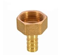 FBHFSUIEF Raccord de Tuyau, raccord d'arrosage, en Laiton 6/8/10/12/14/16/19/25 mm, Queue cannelée 1/8" 1/4" 3/8" 1/2" 3/4" 1" BSP Filetage mâle Femelle cuivre, 16 cannelé(Femal 1/4)