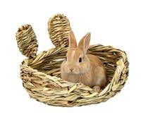 Fbinys Lit pour Lapin,Tapis D'Pour Le Repos Et La Mastication | Tapis Coussin Foin | pour Lapins, Furets, Gerbilles, Petits Animaux, Chinchillas, Cages, Clapiers Et Habitats