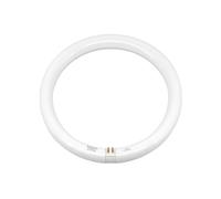 Fbright Led Tube LED circulaire diamètre 300 mm G10Q 16,5 W 6500 K connexion directe au réseau