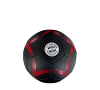 FC BAYERN MÜNCHEN 5 balles