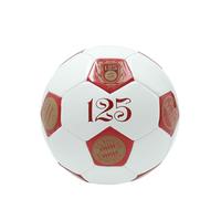 FC Bayern München I Football 125 ans I Multicolore I Taille 5