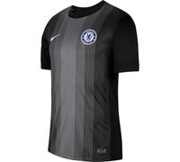 FC Chelsea 2025/26 Stadium Goalkeeper Nike Dri-FIT Maillot de Football à Manches Courtes pour Homme HJ4487