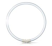 Fc40 W/T5 - T5 Tube circulaire 40 W - Couleur Blanc chaud - 830 - GX13 capuchon