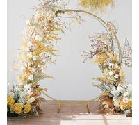 FCH Arche ronde de mariage ,200 x 1,90 x 210 cm,Cadre de fond en métal Décoration de ballons Cabine photo DIY ,Fond de jardin,Décoration de fête