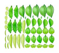 Fcnjsao Lot de 40/50/60 breloques élégantes en forme de feuille en acrylique vert avec trous pour travaux manuels, bijoux, breloques en forme de feuille en acrylique, taille unique, Comme décrit