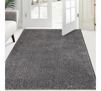 FCSDETAIL Paillasson Attrape-Poussière 120 x 180 cm, Tapis de Sol Antidérapant Lavable en Machine, Tapis d'Entrée avec Microfibres Douces Absorbantes pour Chien, Entrée, Porte et Couloir