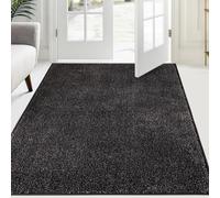 FCSDETAIL Paillasson Attrape-Poussière 120 x 180 cm, Tapis de Sol Antidérapant Lavable en Machine, Tapis d'Entrée avec Microfibres Douces Absorbantes pour Chien, Entrée, Porte et Couloir