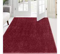 FCSDETAIL Paillasson Attrape-Poussière 120 x 180 cm, Tapis de Sol Antidérapant Lavable en Machine, Tapis d'Entrée avec Microfibres Douces Absorbantes pour Chien, Entrée, Porte et Couloir